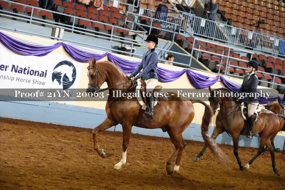 Proof 21YN_20063