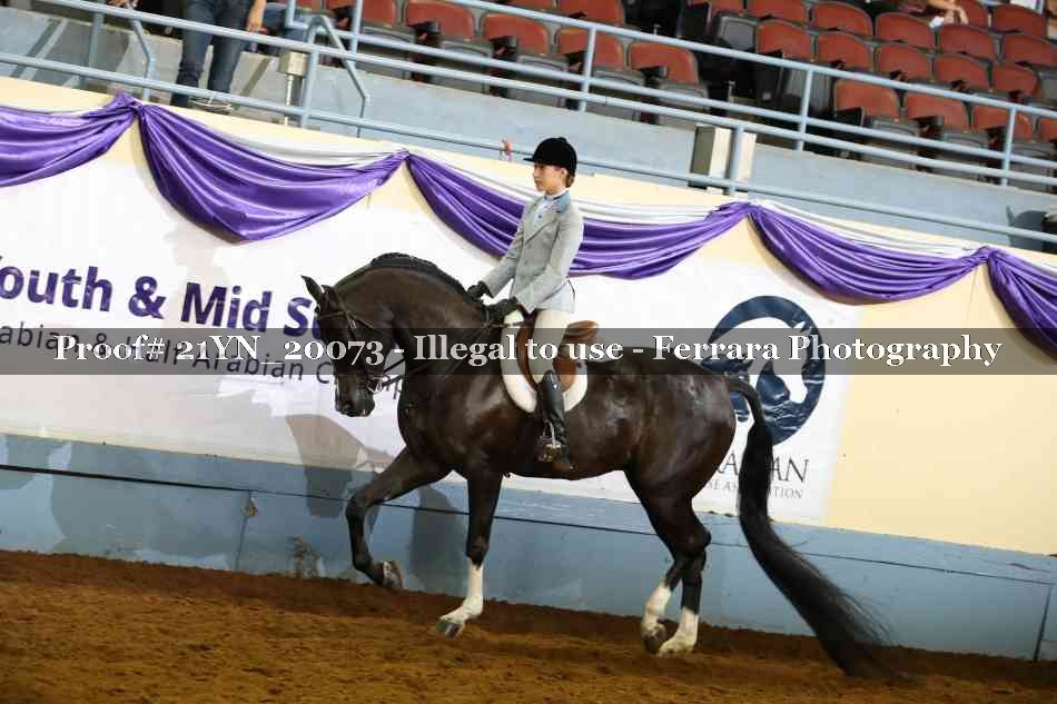 Proof 21YN_20073