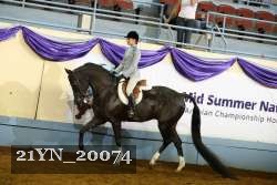 21YN_20074 proof