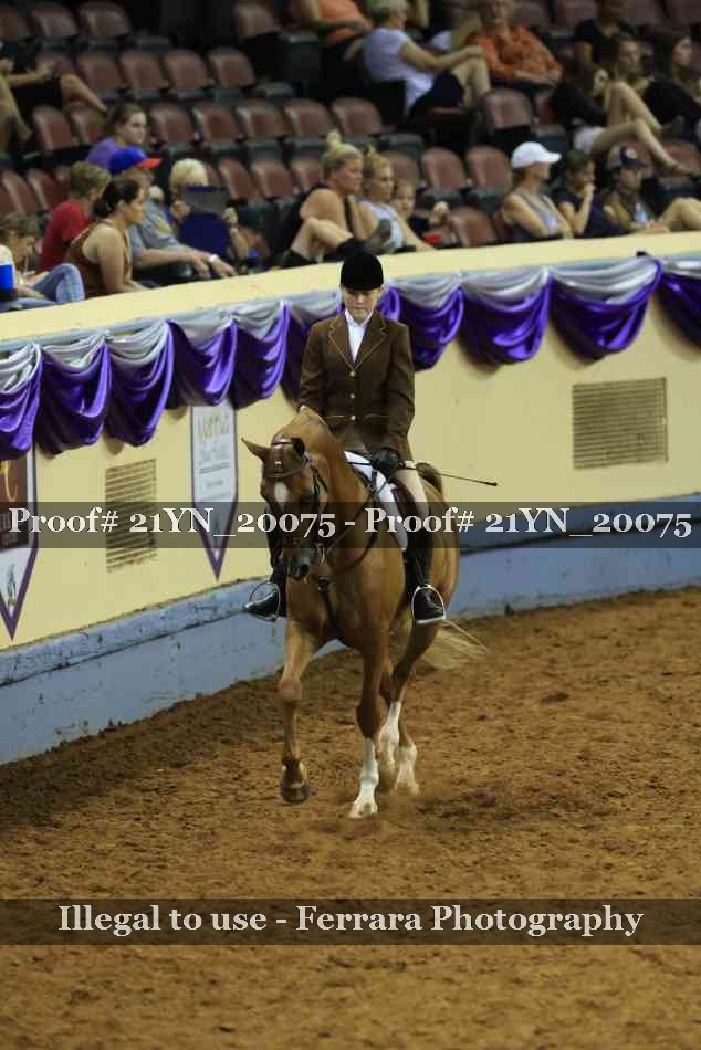 Proof 21YN_20075