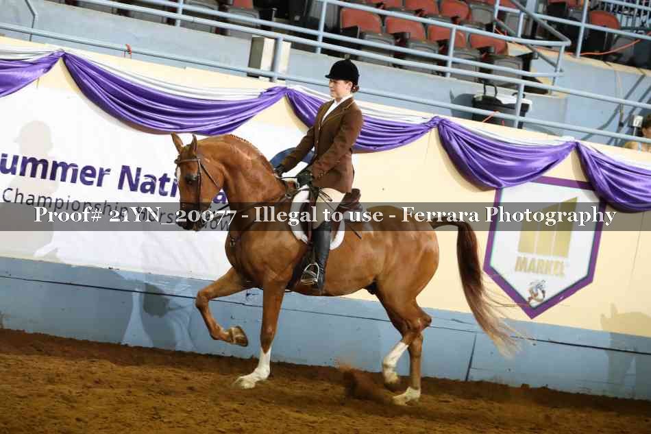 Proof 21YN_20077