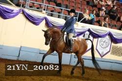 21YN_20082 proof