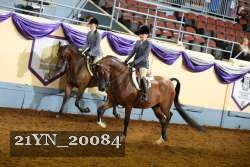 21YN_20084 proof
