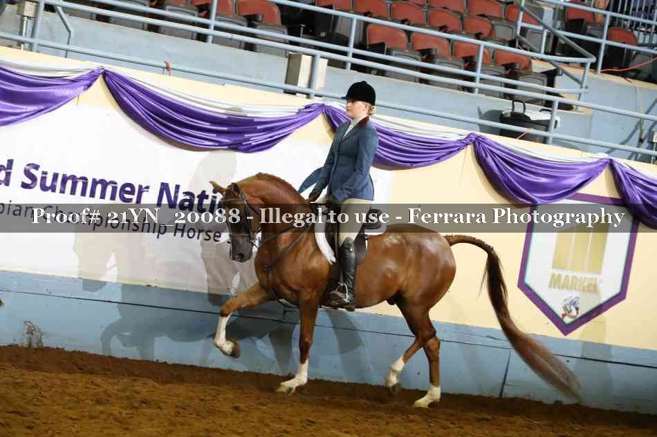 Proof 21YN_20088