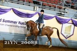 21YN_20088 proof