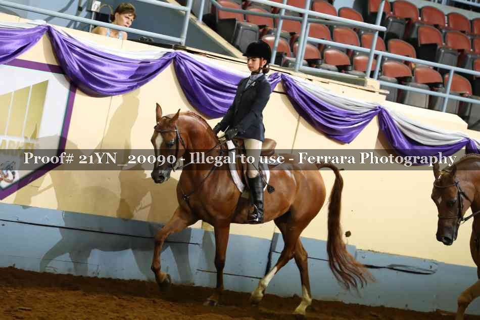 Proof 21YN_20090