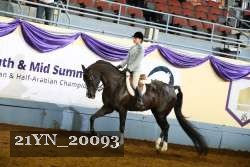 21YN_20093 proof