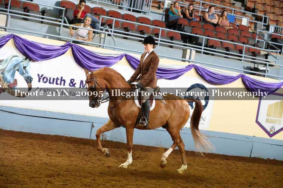 Proof 21YN_20095