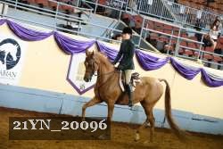 21YN_20096 proof