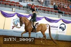 21YN_20097 proof