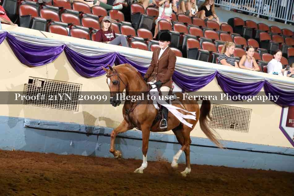 Proof 21YN_20099