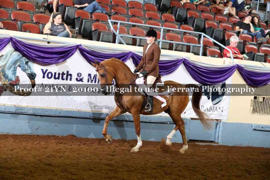 Proof 21YN_20100