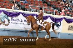 21YN_20100 proof