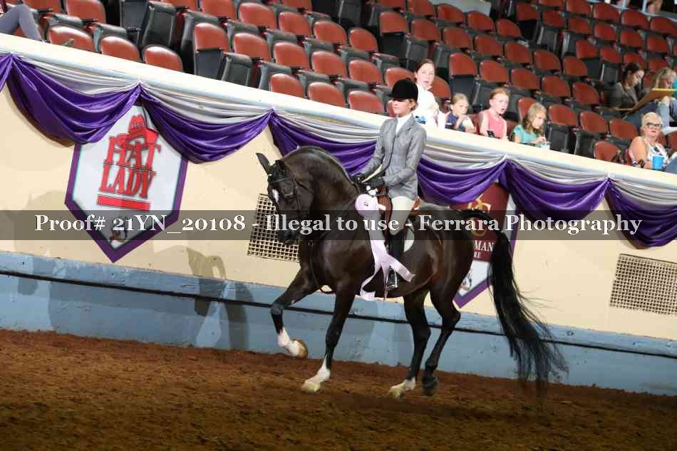Proof 21YN_20108