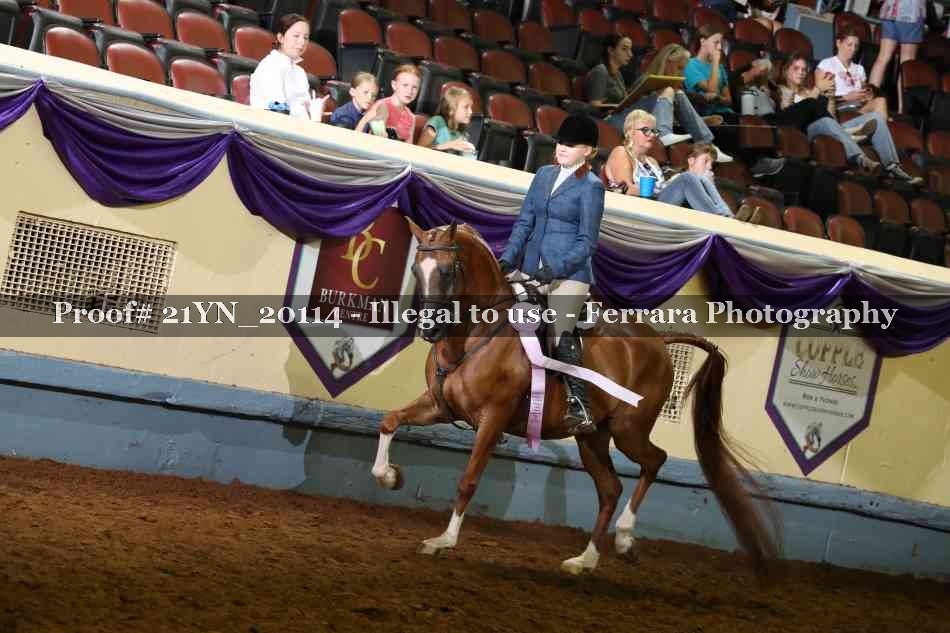 Proof 21YN_20114