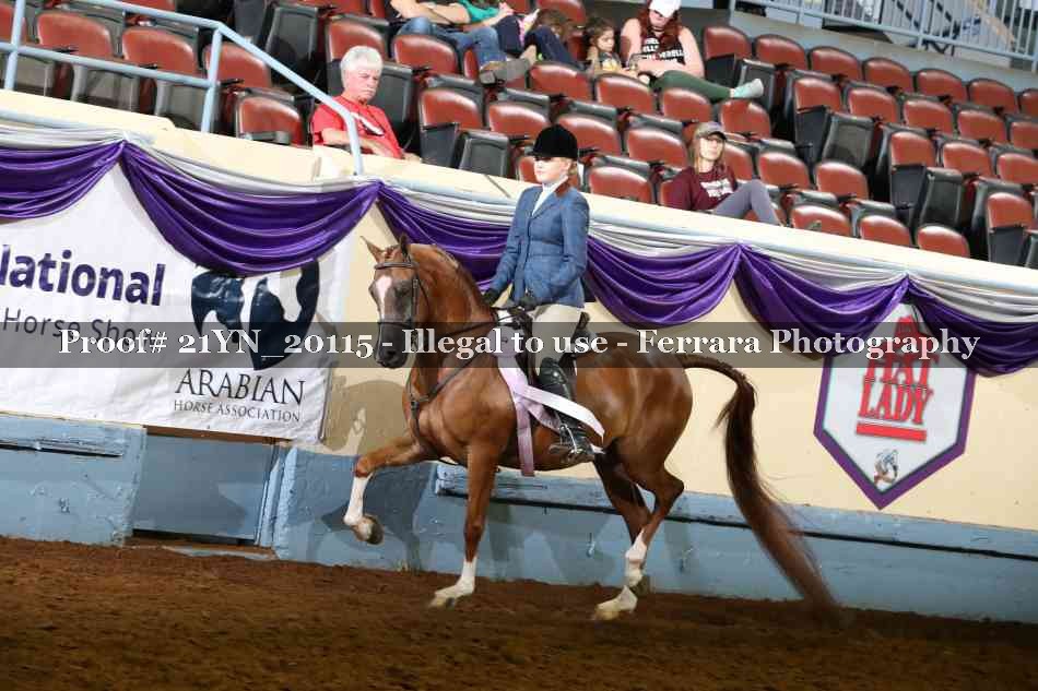 Proof 21YN_20115