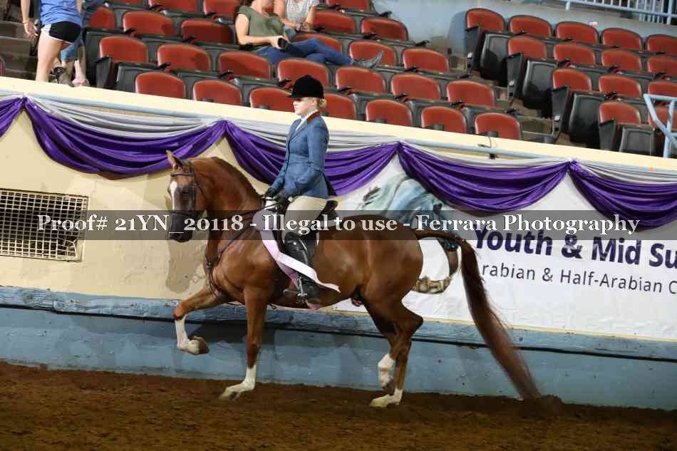 Proof 21YN_20118
