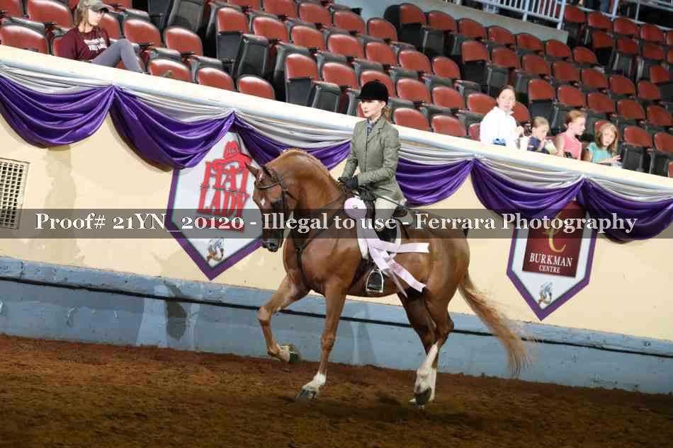 Proof 21YN_20120