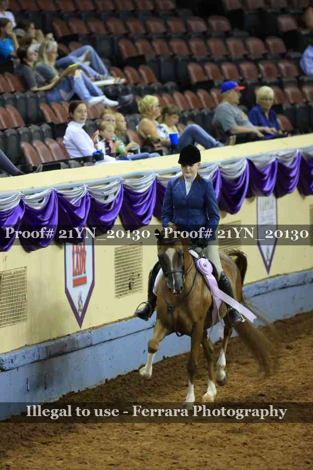 Proof 21YN_20130