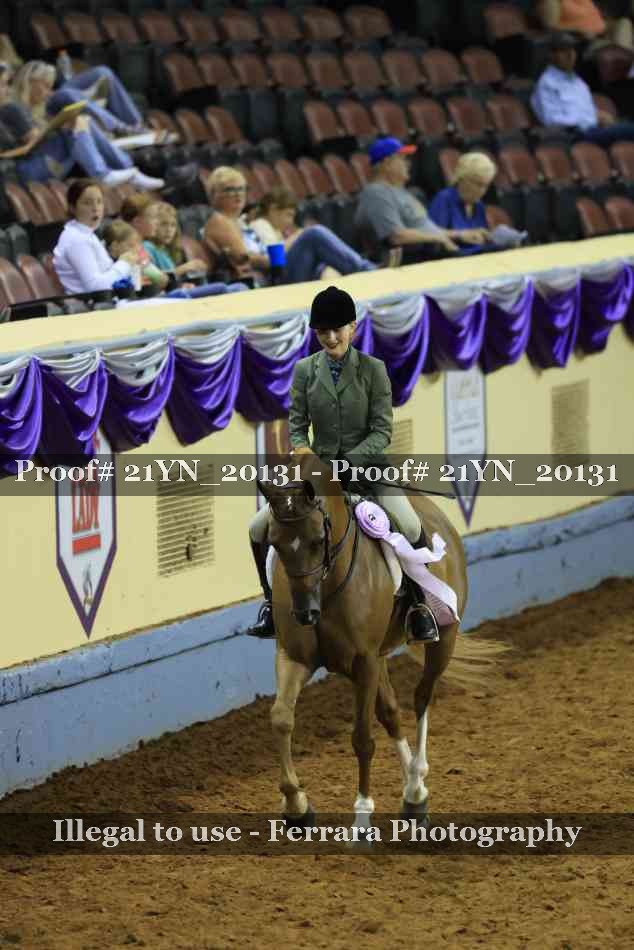 Proof 21YN_20131
