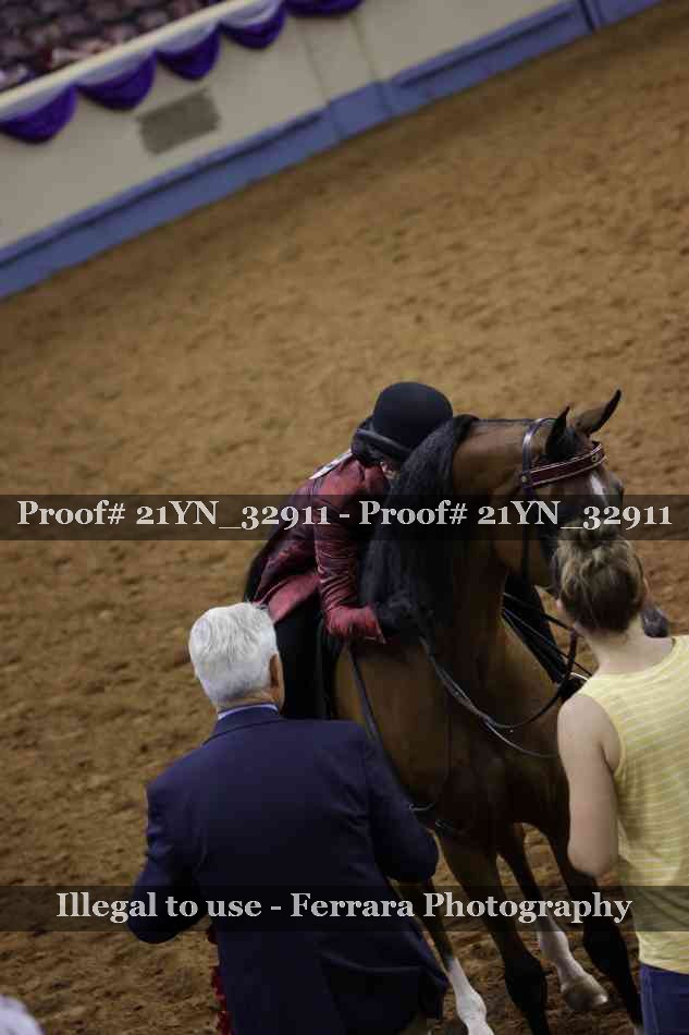 Proof 21YN_32911