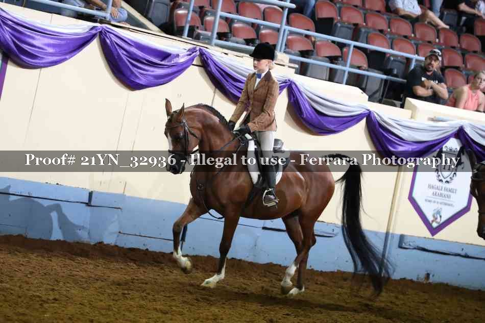 Proof 21YN_32936