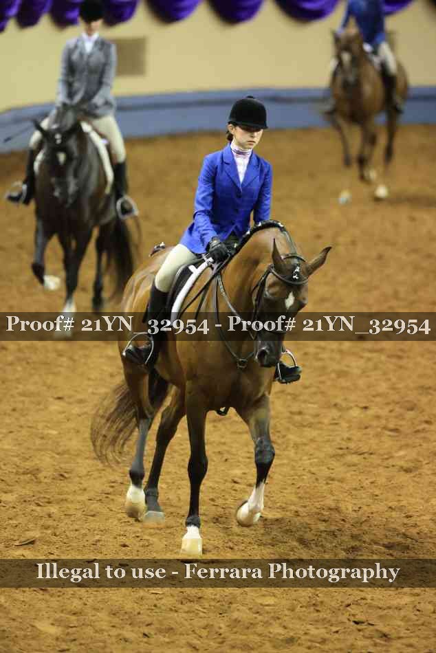 Proof 21YN_32954