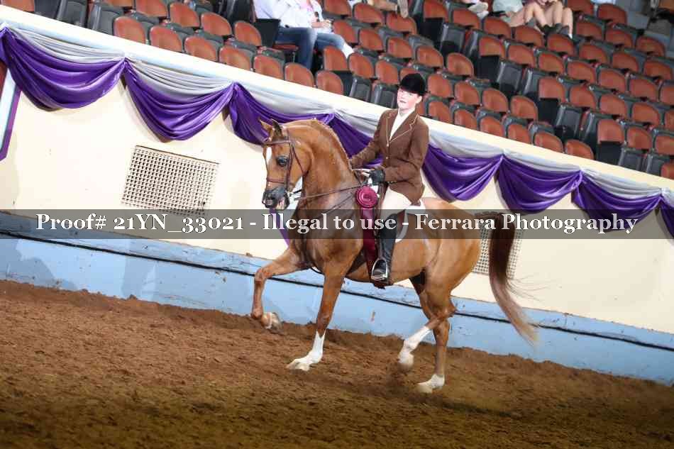 Proof 21YN_33021