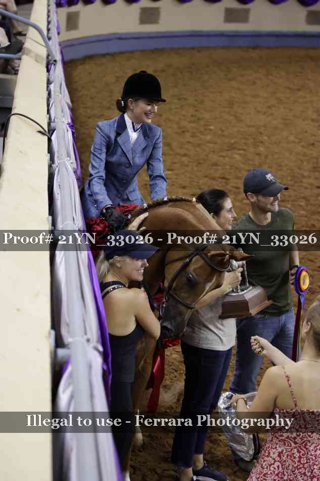 Proof 21YN_33026