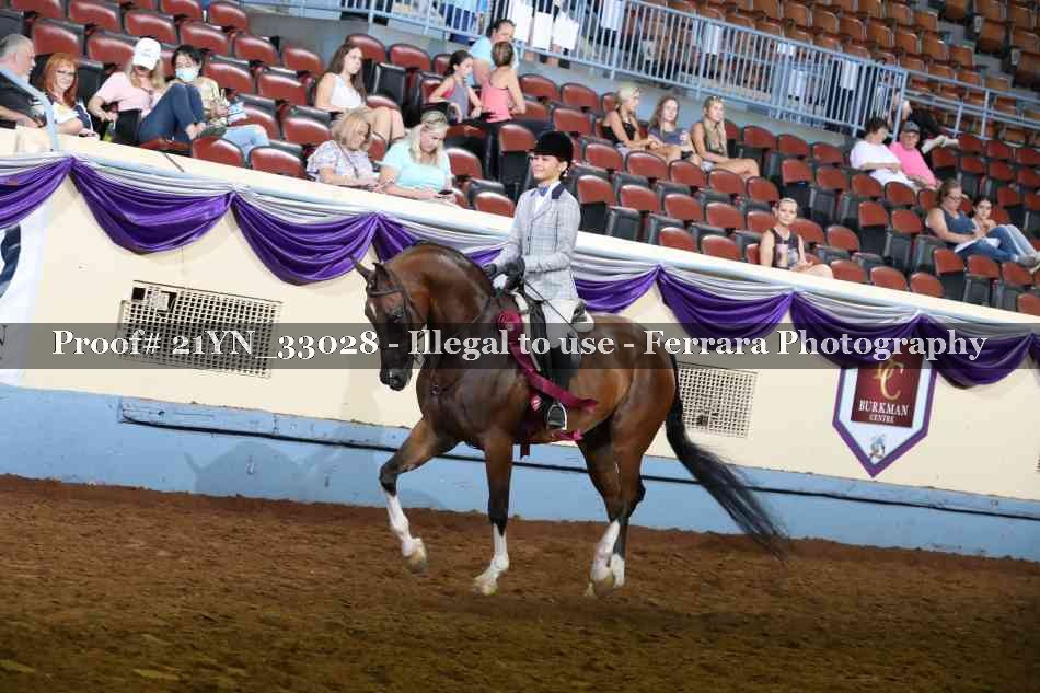 Proof 21YN_33028