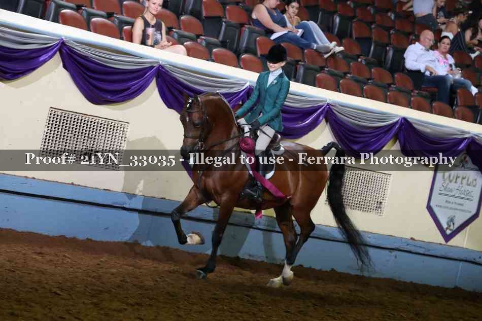 Proof 21YN_33035