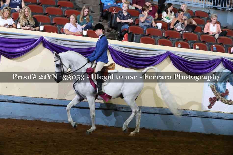 Proof 21YN_33053