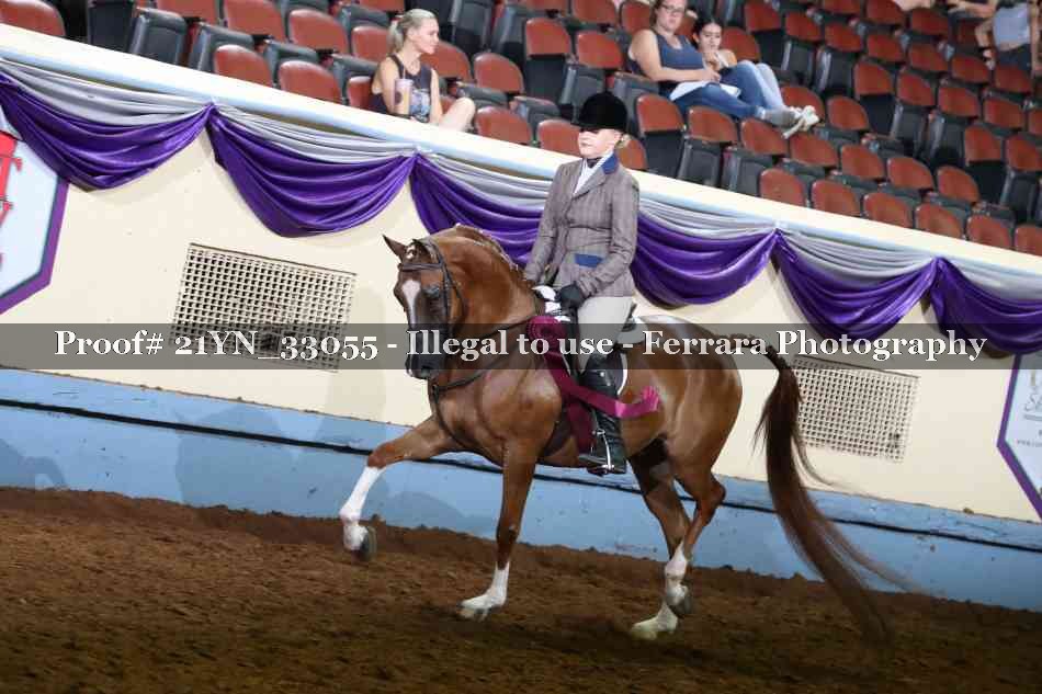 Proof 21YN_33055