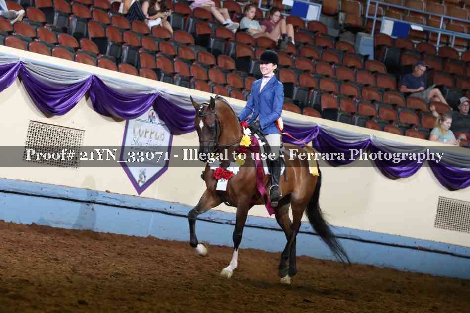 Proof 21YN_33071