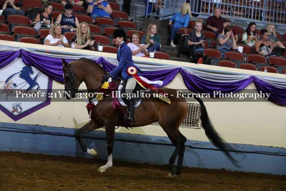 Proof 21YN_33077