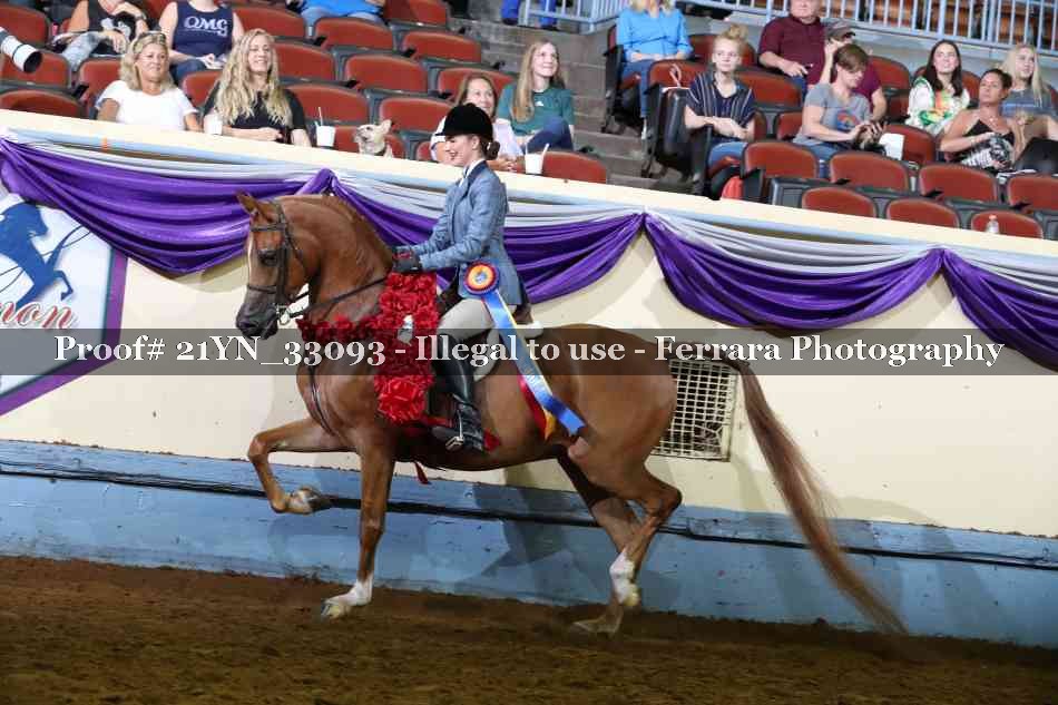 Proof 21YN_33093