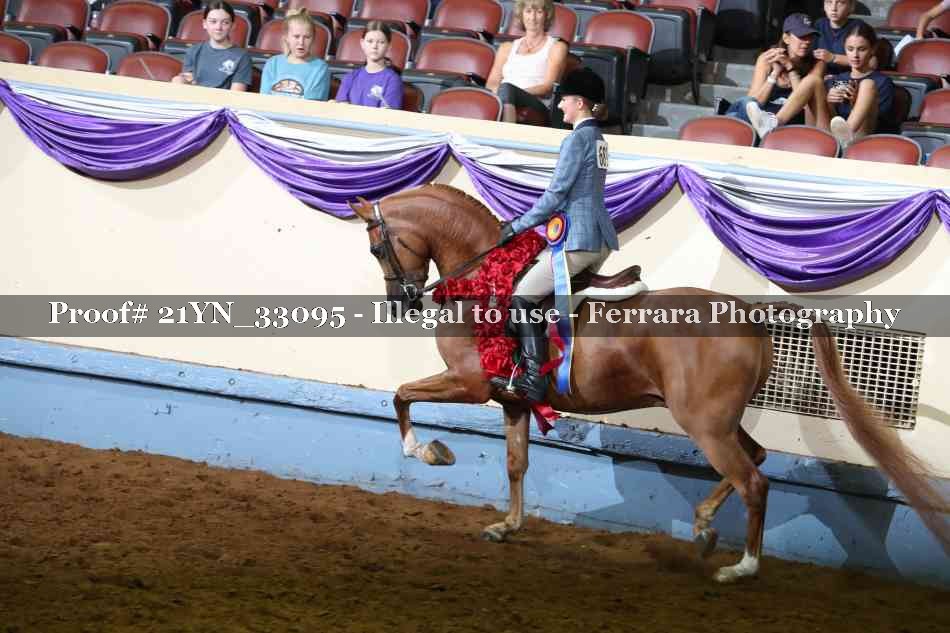 Proof 21YN_33095
