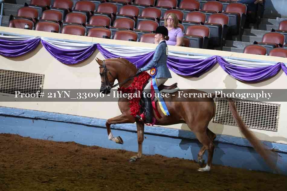 Proof 21YN_33096