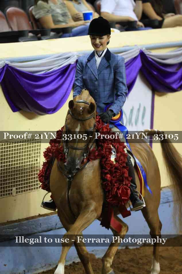 Proof 21YN_33105