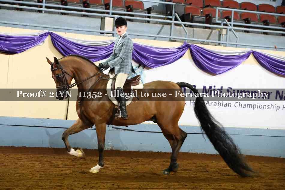 Proof 21YN_11352