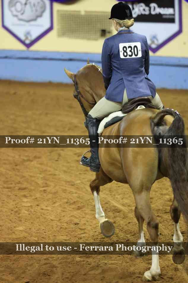 Proof 21YN_11365