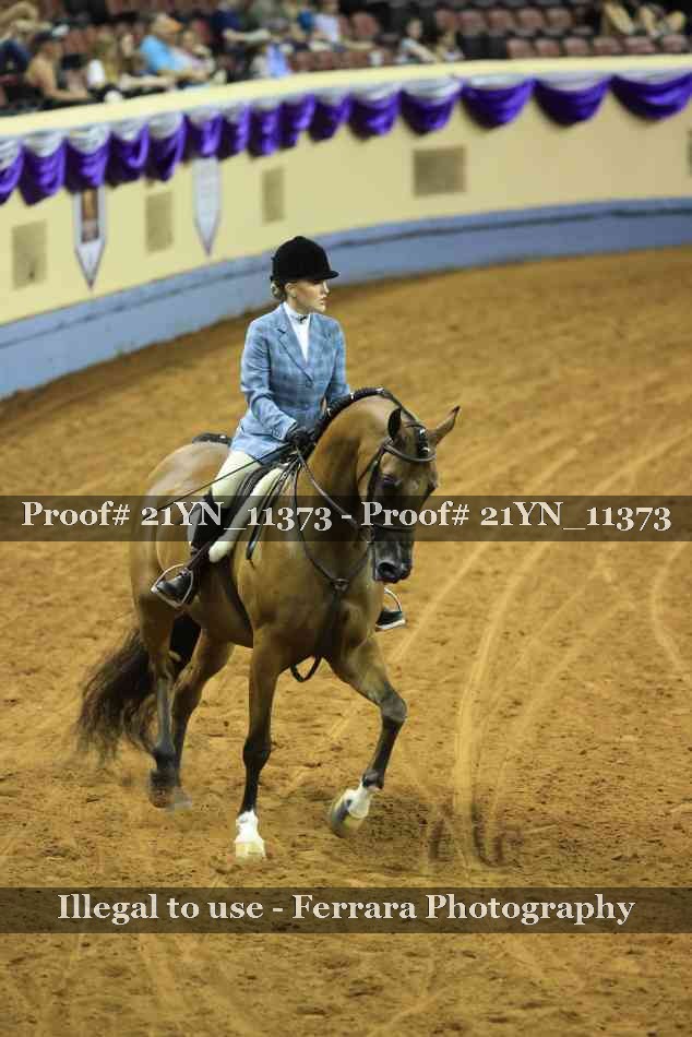 Proof 21YN_11373