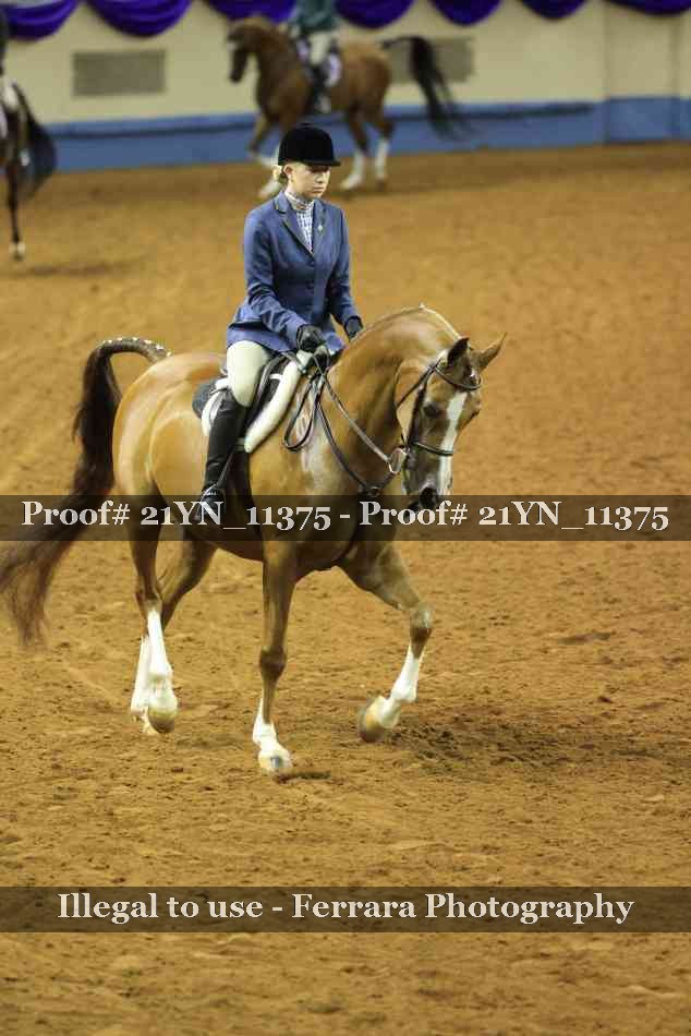 Proof 21YN_11375