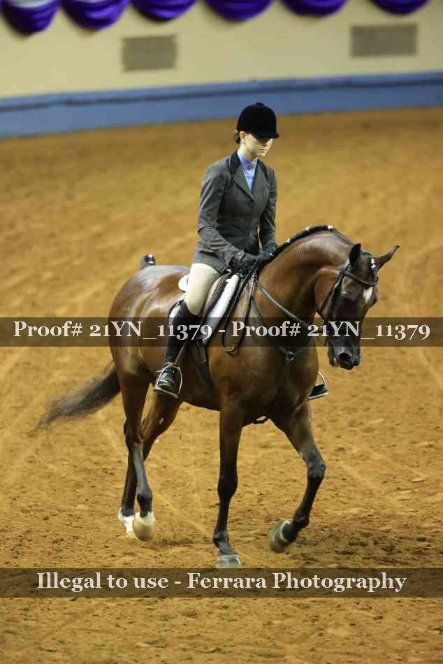 Proof 21YN_11379