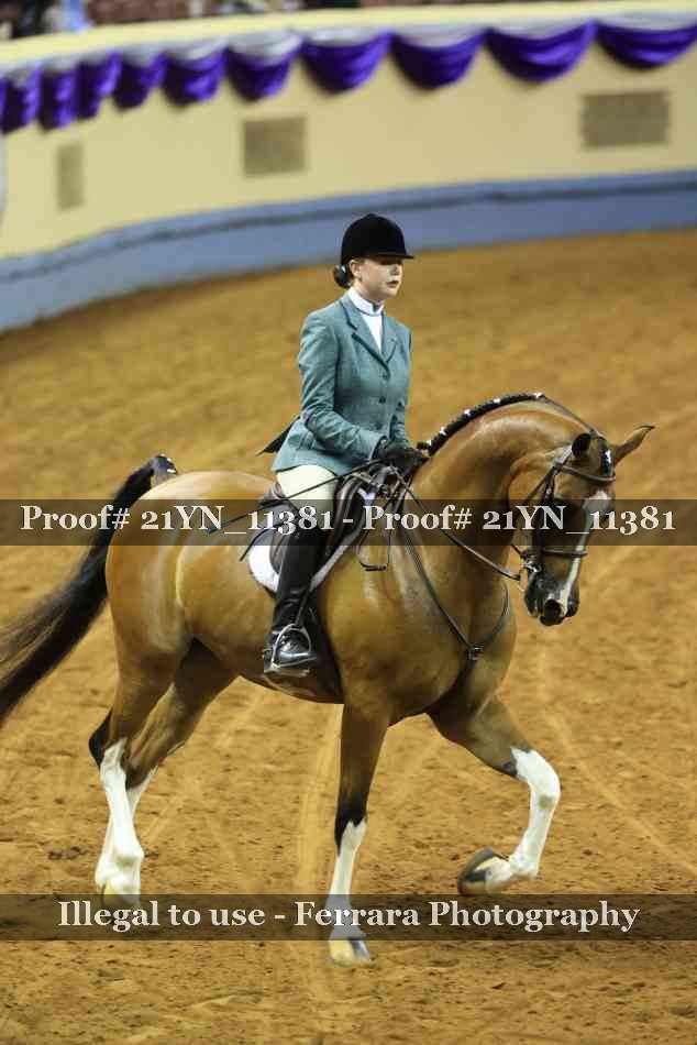 Proof 21YN_11381