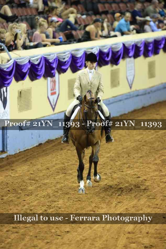 Proof 21YN_11393