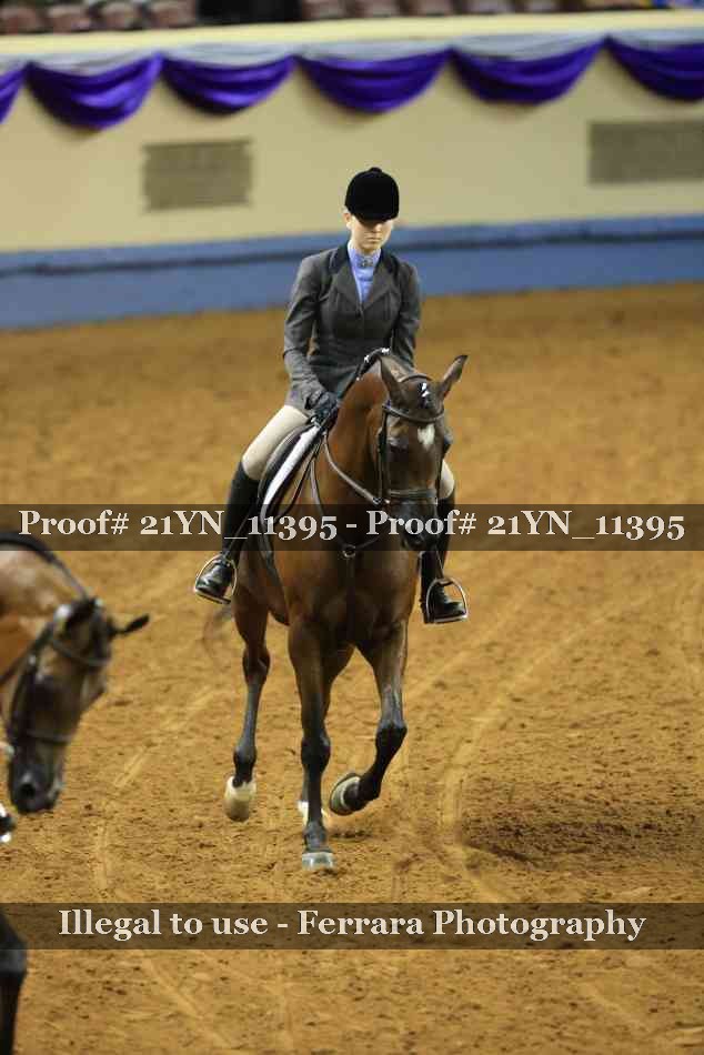 Proof 21YN_11395