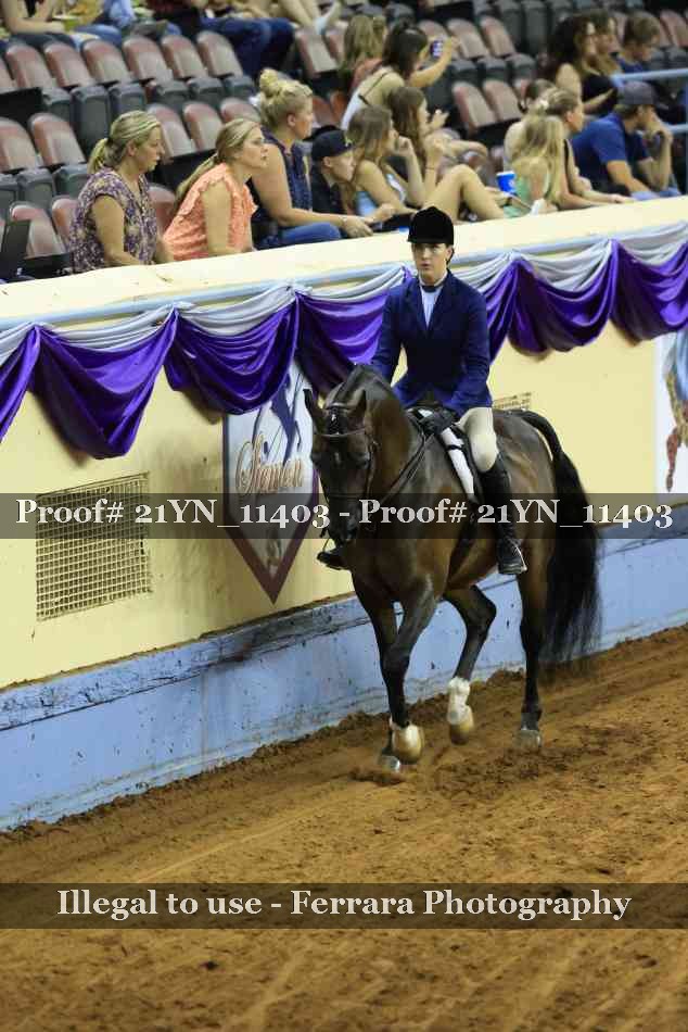 Proof 21YN_11403