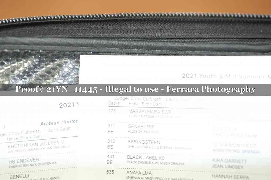 Proof 21YN_11445