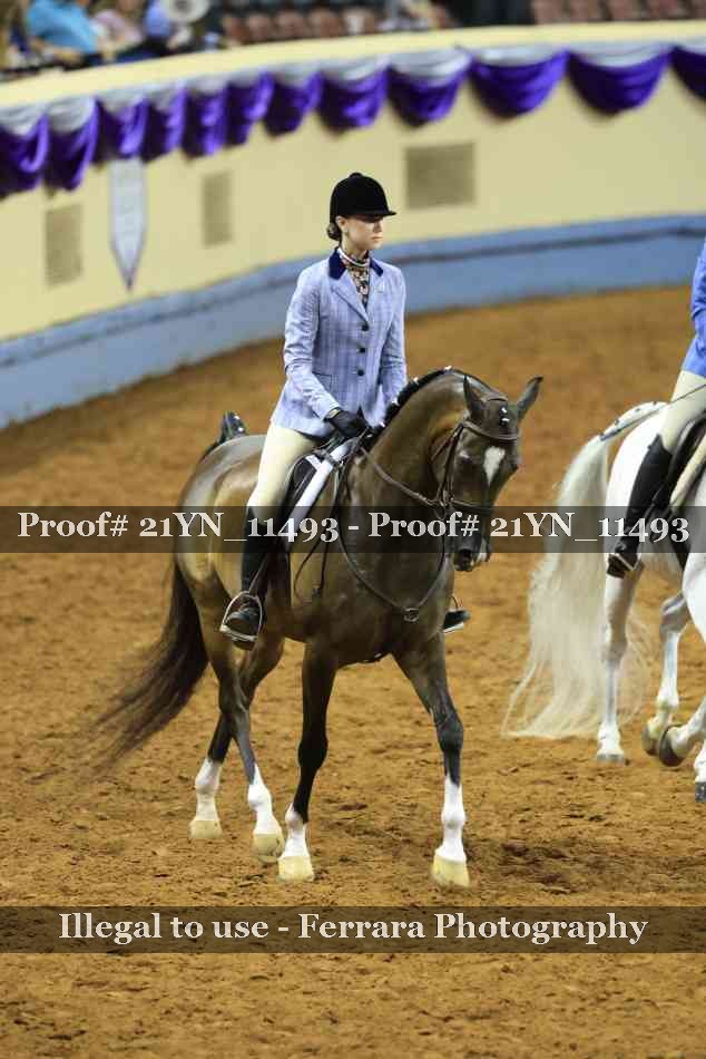 Proof 21YN_11493